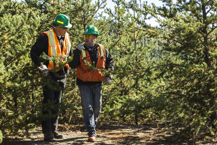 America&#39;s forest lands support 2.8 million jobs and $102 billion in payroll | The Resolute Blog