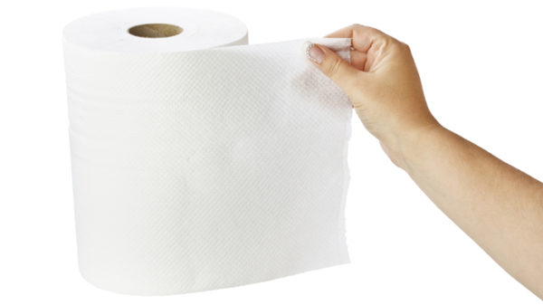 Resolute paper towel