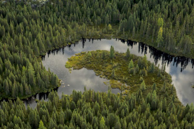The Greatest Threat to the Boreal is Misinformation