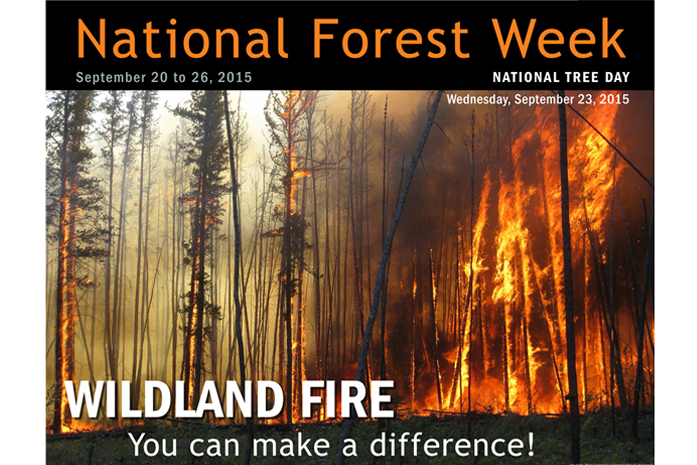 National Forest Week 2015