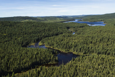 Produits forestiers canadiens : la meilleure réputation du monde