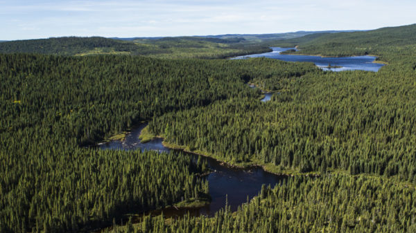Reputation of Canada's forest products remains best in the world