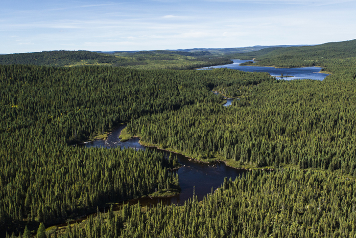 Reputation of Canada's forest products remains best in the world