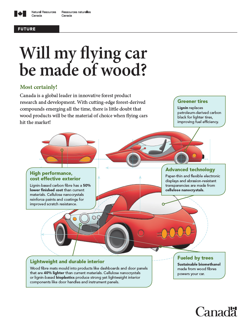 Car made of wood