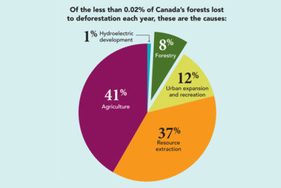 Natural Resources Canada - Deforestation