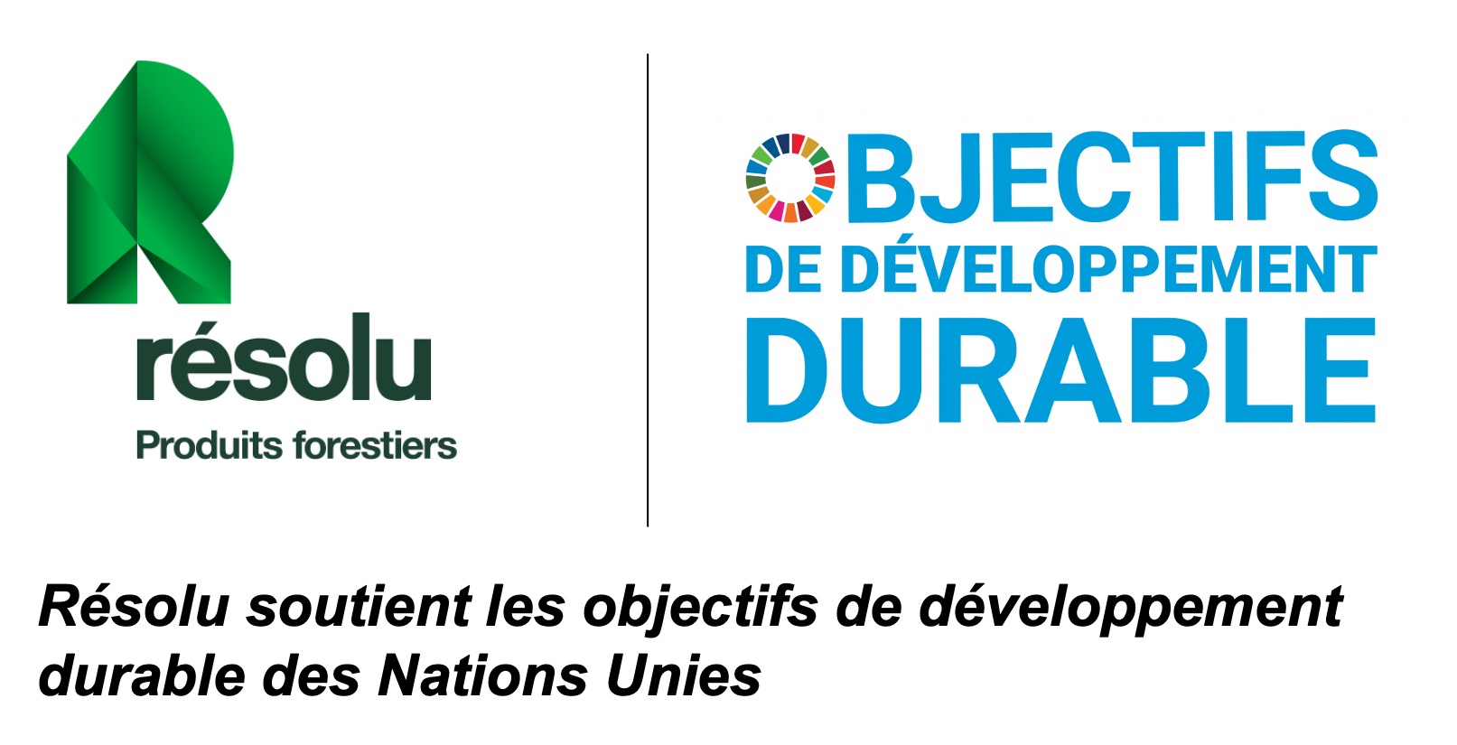 Resolu7te x UN SDG logos (FR)