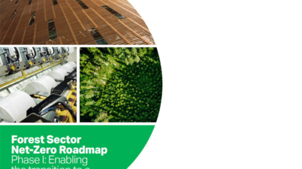 WBCSD Report - Forest-Sector-Net-Zero-Roadmap_i1140